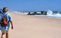 Wrack am Strand